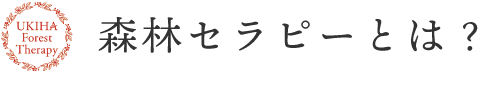 森林セラピーとは？