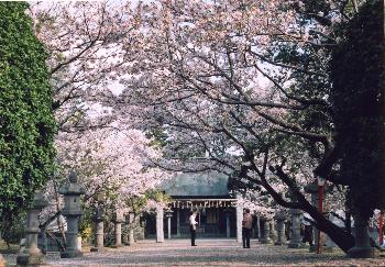 長野水神社