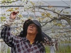 樋口美智子さん