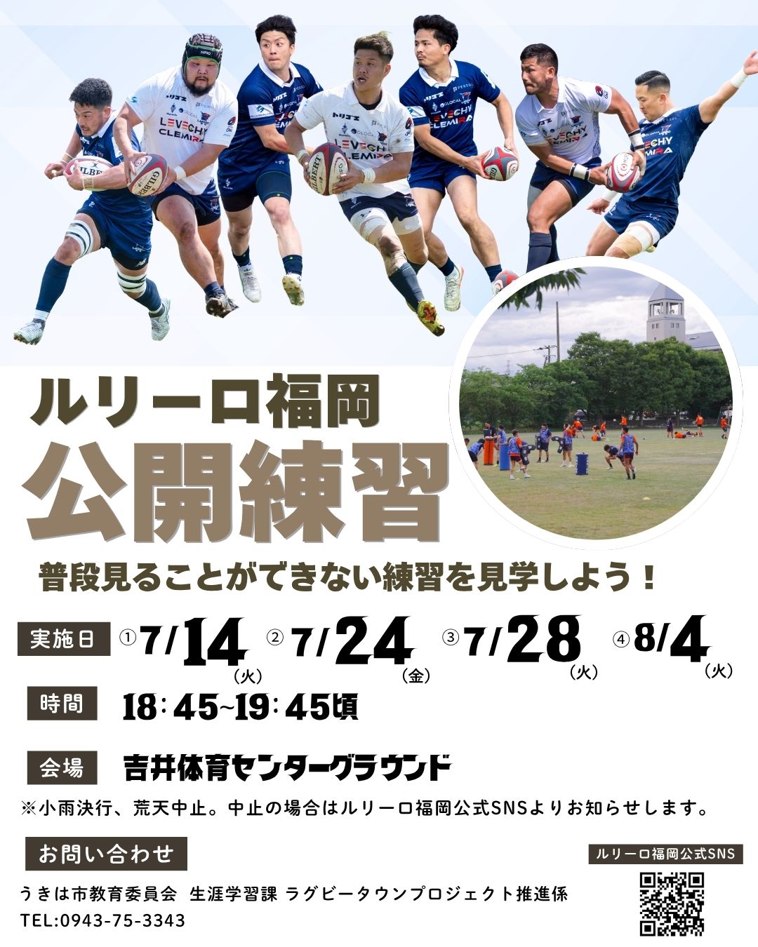 チラシ