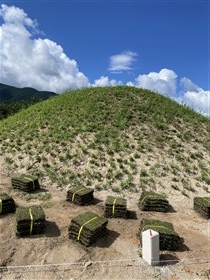墳丘コグマザサ・芝