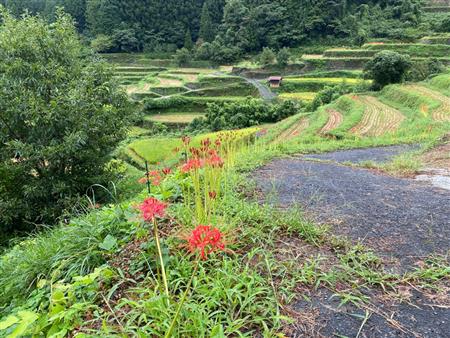 9月18日(1)