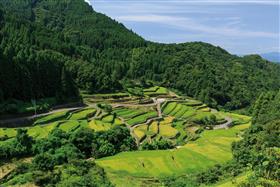 つづら棚田