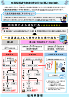 青切符チラシ２