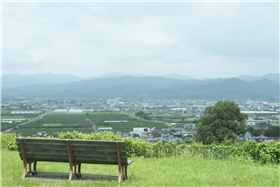 吉井百年公園見晴らし